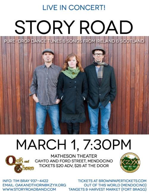 Story Road Concert Poster March 1 2013